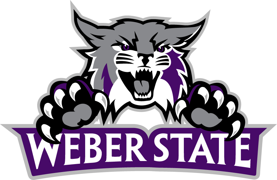 Weber State Wildcats 2012-Pres Secondary Logo v5 diy iron on heat transfer